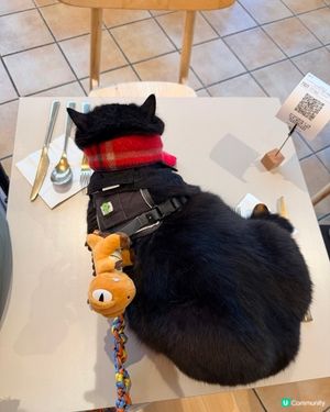 已習慣陪食😮‍💨