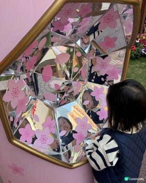 新年要紅粉菲菲