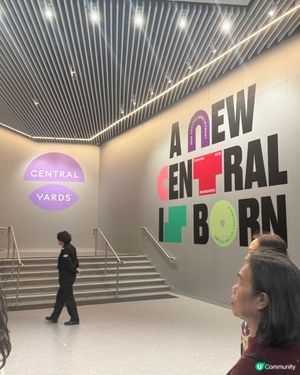 🌿中環散步路線！IFC新橋直通海傍，5分鐘打卡📸