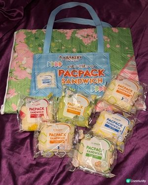 野餐套裝超吸晴！🤩🥪🍎