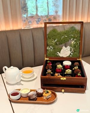 🍫 朱古力控注意!
