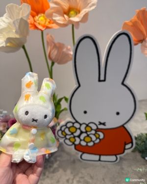 帶雨衣miffy去銅鑼灣打卡
