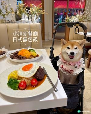 🍳小清新餐廳•日式蛋包飯✨