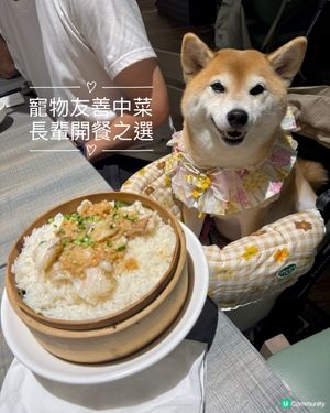 ✨新派潮州菜館·帶長輩去開餐🥢