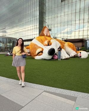 巨犬打卡位🐾🐶 好得意！