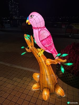 將軍澳中秋花燈海濱