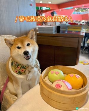 / 帶毛孩嘆冷氣食點心 \