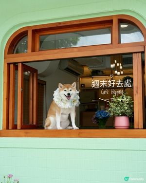 ☕️週末好去去處•靚靚打卡Cafe💚