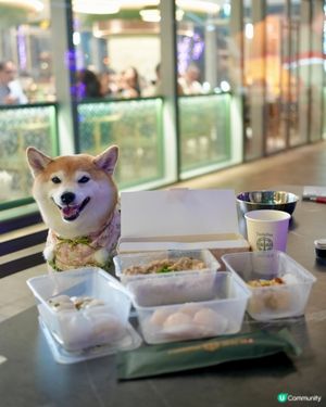 🫖Pet-friendly飲茶推介🥢