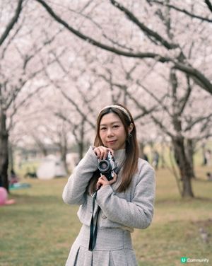 《福岡櫻花必去景點🌸 海之中島海濱公園》