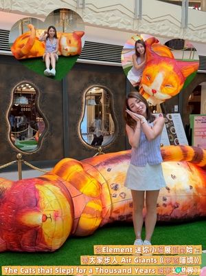 貓貓迷注意！圓方西九夢遊喵境🐾