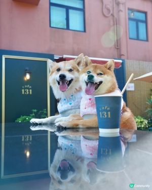 西沙Go Park Aqua隱世cafe☕️