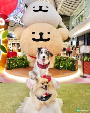 超可愛線條狗佈置