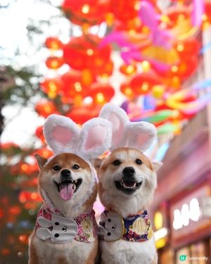 中秋節的利東街