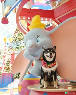 聖誕打卡Go! 小飛象影相位📸✨