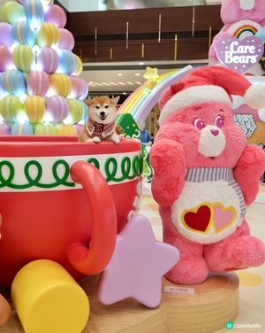 Care Bears聖誕甜蜜樂園🍬