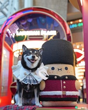 聖誕去邊度？朗豪坊薯誕百貨！🎄📸