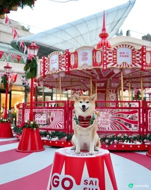 🌟Happy Go Round冬日樂園💫