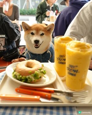 大熱韓式cafe🇰🇷