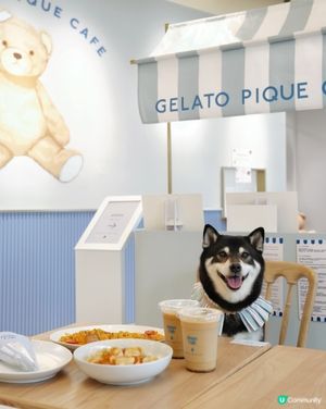 🐻Cafe日本過江龍登陸Airside😍