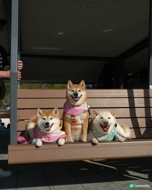 🌴週末好去處·葵涌公園🌳