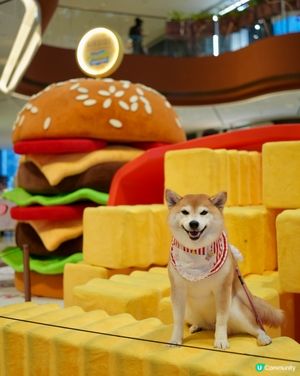 🍔海綿寶寶：比奇堡滋味派對🍕