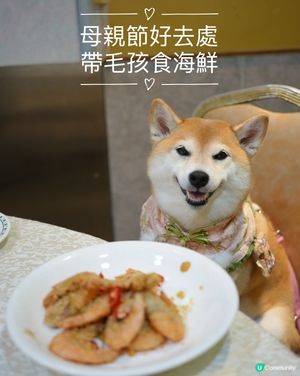 🌹母親節好去處·帶毛孩食海鮮🦞
