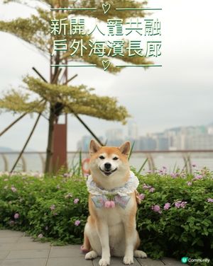 🐶新開人寵共融·紅磡海濱長廊🌊