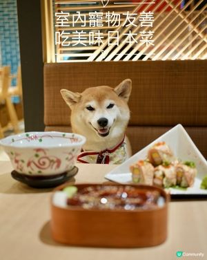 🍱室內寵物友善·嘆坐冷氣食日本菜🍣