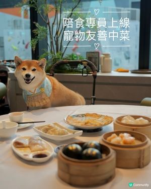 🫖陪食專員又上線·乖乖陪長輩飲菜💖