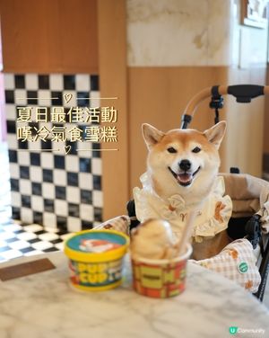 🏔️山頂意外驚喜·寵物友善雪糕店🍦