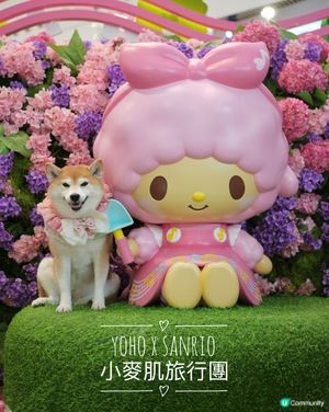 Yoho x Sanrio 小麥肌旅行團