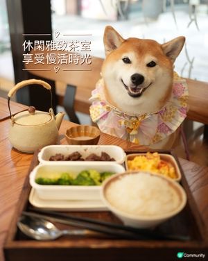 🫖鬧市中的隱世小茶館🍵 