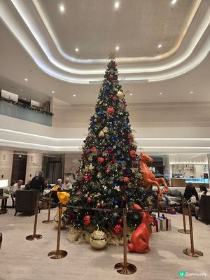 合和軒 - 冬日暖心之選