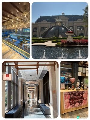 澳門自助山！🤤 種類多到數唔晒！