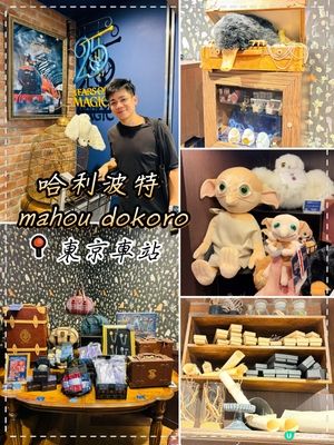 東京車站哈利波特店，走入迷你魔法世界，Fans必打卡
