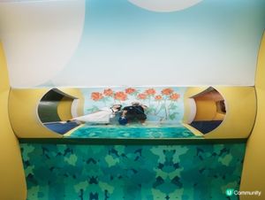 🔮 香港科學館|鏡子世界大揭秘!學生免費入場,玩盡奇幻反射