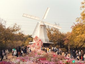 🌷深圳南山･荷蘭花卉小鎮|免費入場!風車+花海+歐式建築,