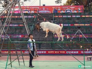 🎪深圳觀瀾湖･大漠猜想馬戲團|沙漠主題特技+搞笑小丑,門票