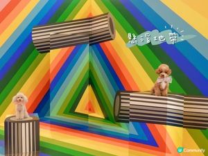 嘆住冷氣去藝術展覽打卡🐾