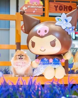 米蘇蘇同Melody Kuromi玩轉Yoho夏日樂園！☀️⛱️