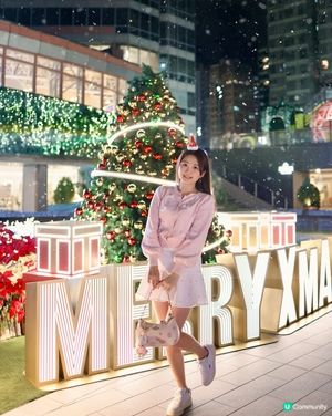 飄雪❄️聖誕樹🎄❤️聖誕花海🌺