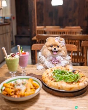 北歐小店Cafe☕️💖✨ | 溫馨又狗狗友善🐶🎀