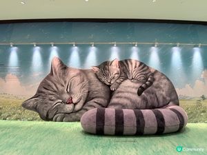 九龍灣寵物友善商場✨17樓仲有巨貓狗狗壁畫🎨🐾