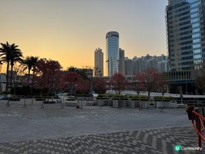 花開富貴過新年😛🌸🌸🌸