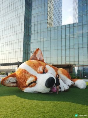 九龍灣新景點！落日花園🐾🌇