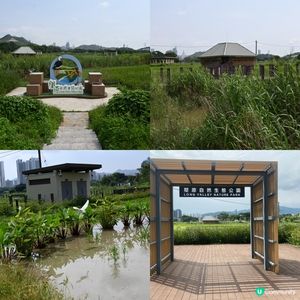 塱原賞鳥勝地！湿地🏞️🌿