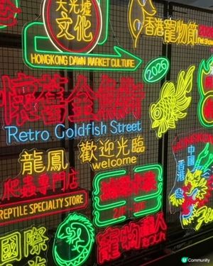 去《香港寵物節2026》拍拖