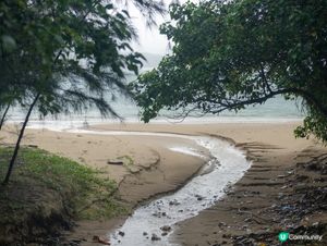 東平洲一日遊！🌊 岩晒你哋！😎