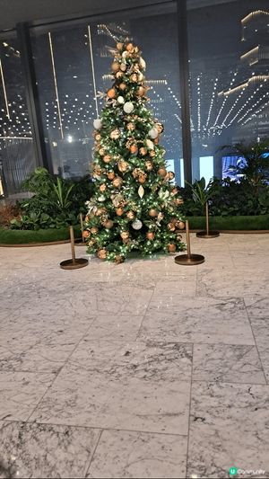 這是我到airside商場所見的聖誕裝飾，這裏的聖誕樹非常美